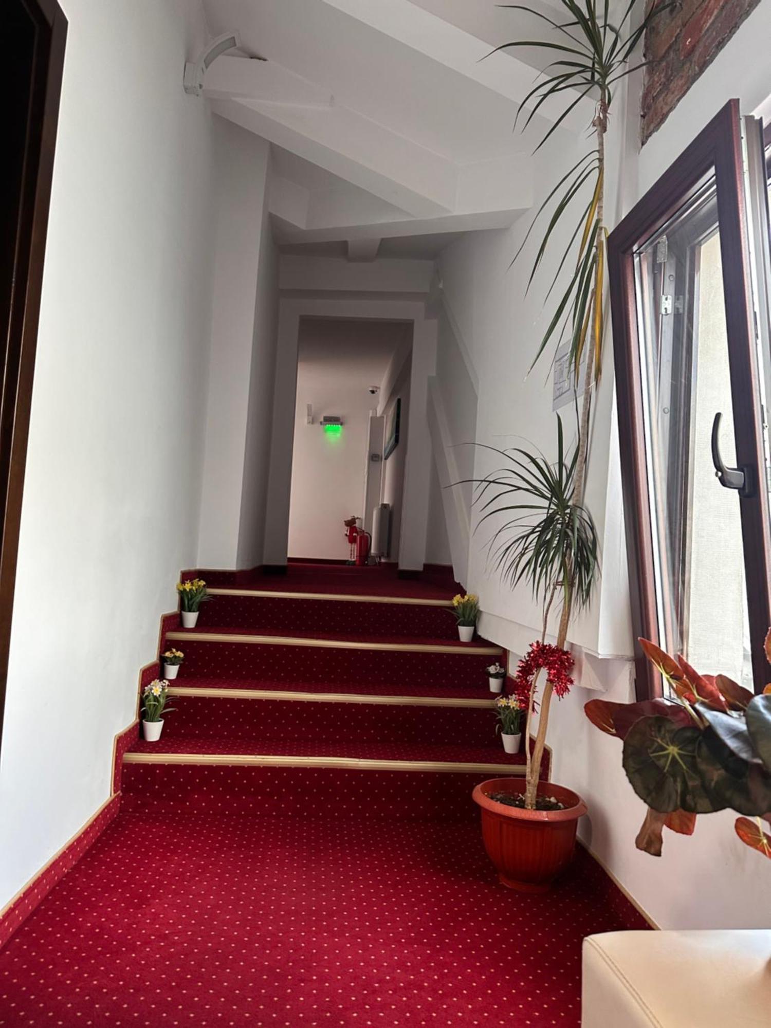 Pensiunea Sada Făgăraş Eksteriør billede